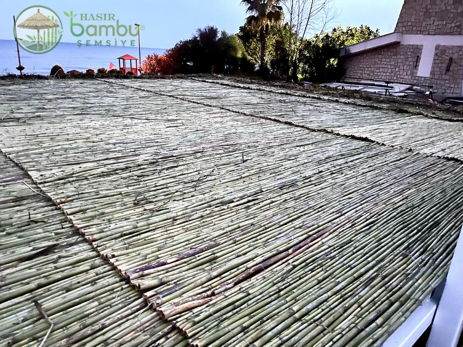 Bambu Çit